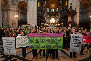 Rewild Church Land: singing in St Paul’s Cathedral