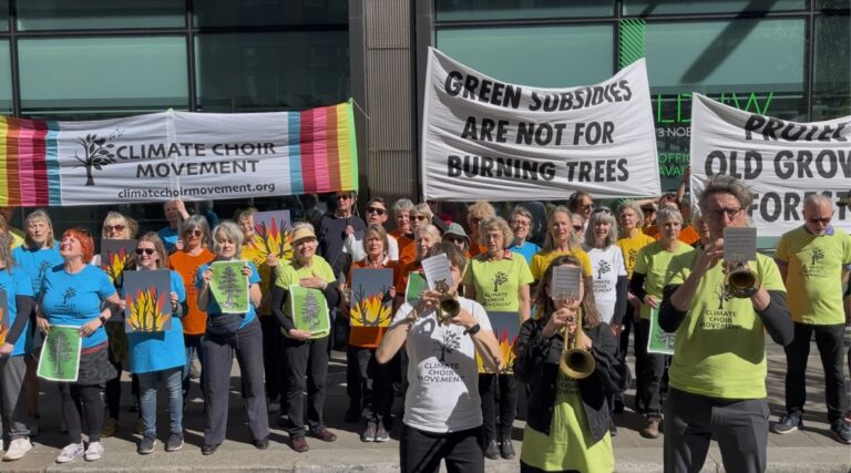 End Tree Burning Subsidies!